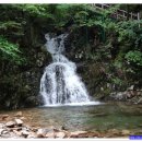 수락 농장 이미지