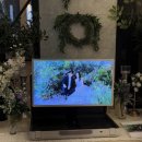 훈이네막썰어회 | [🤵🏻‍♂️👰🏻‍♀️💍] 결혼식+하와이 신혼여행🌺(1)