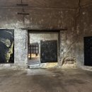 피어나는 생명 이미지