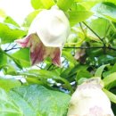 산포마을 이미지