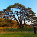 화서기념관 이미지