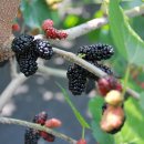 원창농장 이미지