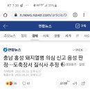 충남 홍성 돼지열병 검사결과 음성 판정 이미지