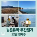 상만목농촌유학마을 | 보성 농촌유학 주간일기 12월 셋째주 / 남파랑길 78코스 완주 / 아들 보성도서관 다독자 시상식