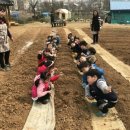 보금농장 | 도림동 숲속의유치원 아나바다시장 참여수업후기