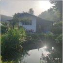 이만물 네이버블로그