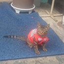 유림-1050 | 26-3 | 정병시즌 스타트