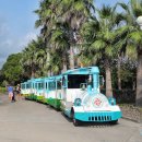 여미지식물원 이미지