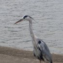 잠실공원 이미지