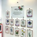 풍암동 행정복지센터 이미지