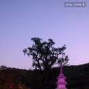 용문사 산사음악회 이미지