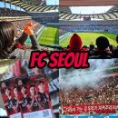 마르코키친 | FC서울 직관 예매 상암월드컵경기장 좌석 응원석