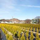 동트는농원 이미지