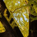 공중화장실(국궁장) 이미지