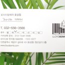 로이드밤효성점