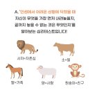 엠카워시 | 3월 2주 일 사 앙 / MBTI / SF9 뮤비 후기 / 멘토 교육 / 공방 / 깐부치킨 etc~
