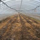 달래농장 이미지