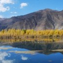 일진여관 이미지