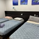 도그도감 | 내돈내산 세부 스쿠버다이빙 오션플레이어에서 어드밴스드 따기 1박2일