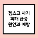 [2024년 상반기]왕초보 판매자도 가능한 스마트스토어 | 겜스고 계정공유 사기 피해 급증 원인과 예방법