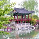 이천 Daum카페