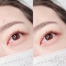 하비래쉬
