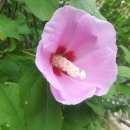 월산초등학교 이미지