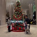 11545-08-00-36 | 워커힐 더 뷔페 - 주차, 이용금액, 영업시간, 메뉴, 주말 런치, 레터링 서비스, 내 돈 내산 후기