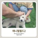 아포어린이집 | 김천 아이와 가볼만한곳 '애니멀필드2' 동물 교감 실내외 체험 후기