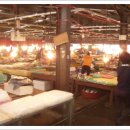 제주풍경스케치 이미지