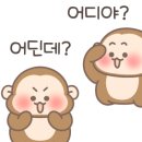진안국제캠핑장 이미지