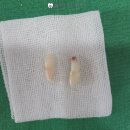 동탄꿈의치과의원 이미지