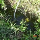 발전농장 이미지