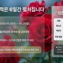 지에스25 울산문수중앙 | 2026 울산대공원 장미축제 완벽 가이드 | 일정·입장료·주차·실전후기 총정리