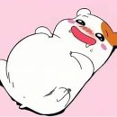 료기 이미지