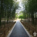 경기전 관광안내소 이미지