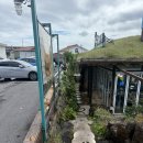 꽃담우리 | [제주시/성산] 성산일출봉 맛집 흑돼지수제버거 맛집 제주 꽃담 수제버거 후기