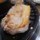 엉터리생고기 이미지