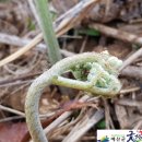 두란농장 이미지