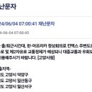 고양시청 주변 도로 이미지