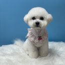 깡아지미용실 이미지