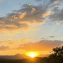 에바다1농장 | 브리즈번 무게라호수 투어 (비추)