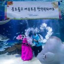 한화아쿠아플라넷 이미지
