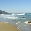 바다그림 이미지