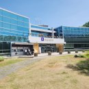 안골보리밥 이미지