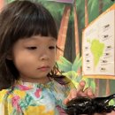 김밥나라(여주학동점) | [여행] 여주곤충박물관 아이와 함께 솔직 후기