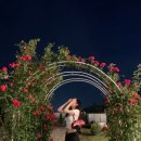 정원이있는 카페 이미지