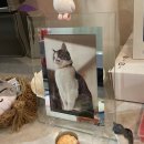 시크릿푸드 이미지