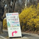 아기랑주말에함께 찬우물 체험 동물농장 가는길/영업시간/위치