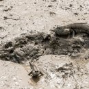 용두산장 이미지